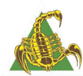 First Liao Dragoons logo.png