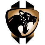 Emblem of The Cheetahs