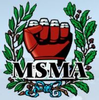 Melissa Steiner Martial Academy of Bolan logo