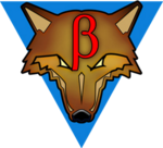 Insignia of Beta Galaxy (Clan Coyote)