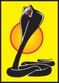 Burrs Black Cobras logo.jpg