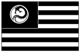 Planetary flag